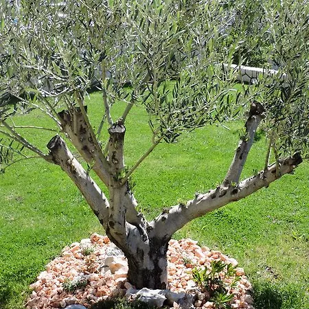 Appartamento Residenca *